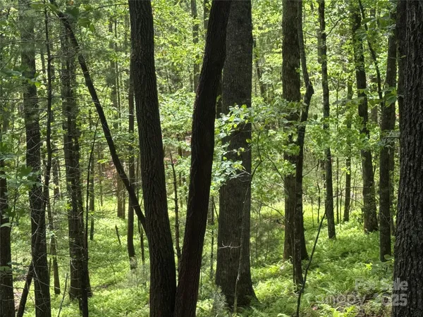 $100,000 | 9999 Sassafras Road, Unit 4, Cedar Mountain, NC 28718