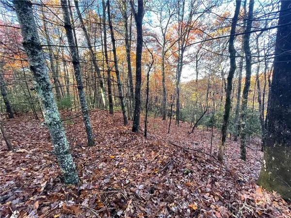 $100,000 | 9999 Sassafras Road, Unit 4, Cedar Mountain, NC 28718