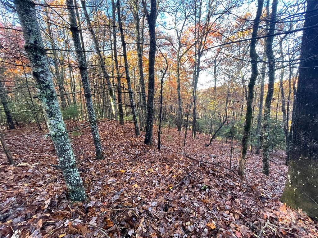 9999 Sassafras Road, Unit 4 Cedar Mountain, NC 28718 - Photo 11 of 36