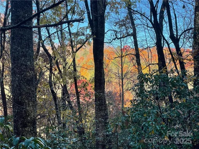 $100,000 | 9999 Sassafras Road, Unit 4, Cedar Mountain, NC 28718