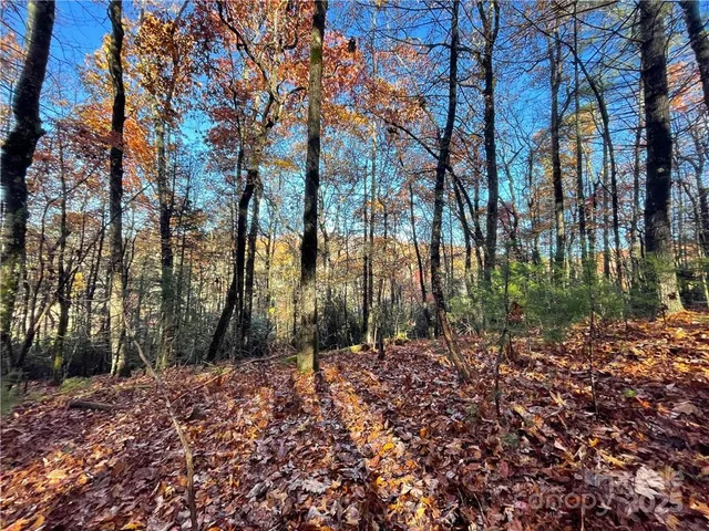 $100,000 | 9999 Sassafras Road, Unit 4, Cedar Mountain, NC 28718