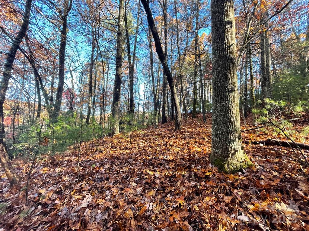 9999 Sassafras Road, Unit 4 Cedar Mountain, NC 28718 - Photo 14 of 36