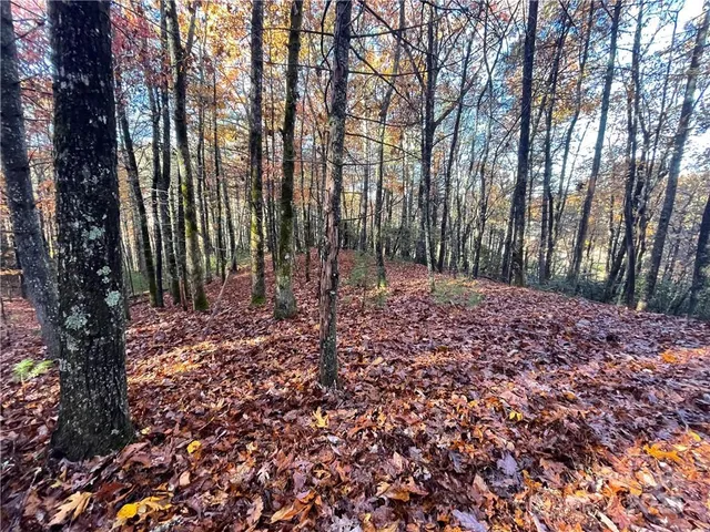 $100,000 | 9999 Sassafras Road, Unit 4, Cedar Mountain, NC 28718