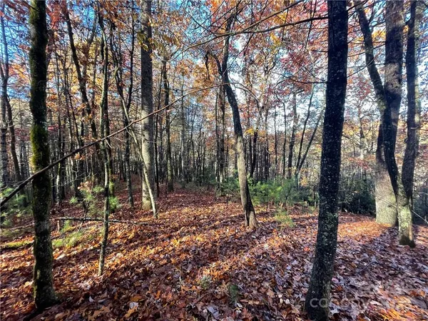 $100,000 | 9999 Sassafras Road, Unit 4, Cedar Mountain, NC 28718