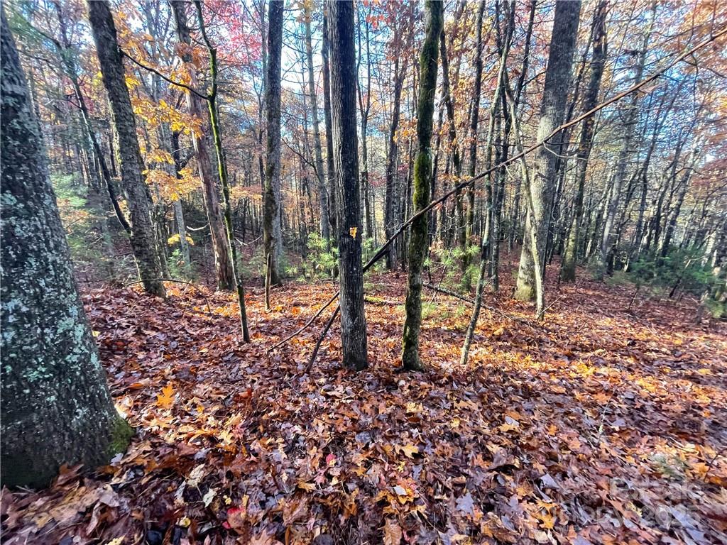 9999 Sassafras Road, Unit 4 Cedar Mountain, NC 28718 - Photo 18 of 36