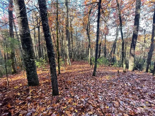 $100,000 | 9999 Sassafras Road, Unit 4, Cedar Mountain, NC 28718