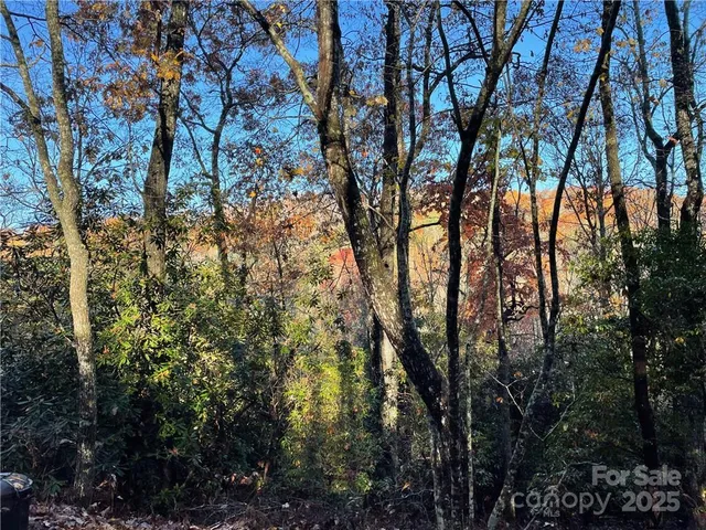 $100,000 | 9999 Sassafras Road, Unit 4, Cedar Mountain, NC 28718