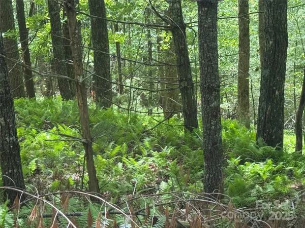 $100,000 | 9999 Sassafras Road, Unit 4, Cedar Mountain, NC 28718