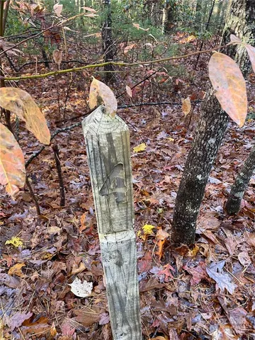 $100,000 | 9999 Sassafras Road, Unit 4, Cedar Mountain, NC 28718