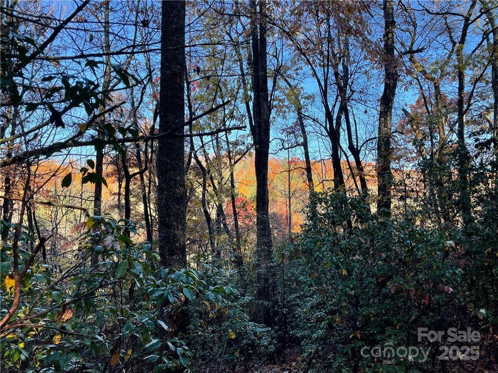 9999 Sassafras Road, Unit 4 Cedar Mountain, NC 28718 - Photo 22 of 36