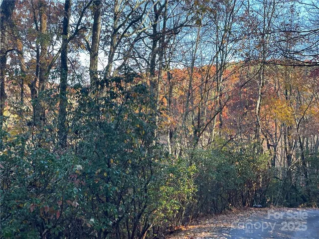 $100,000 | 9999 Sassafras Road, Unit 4, Cedar Mountain, NC 28718