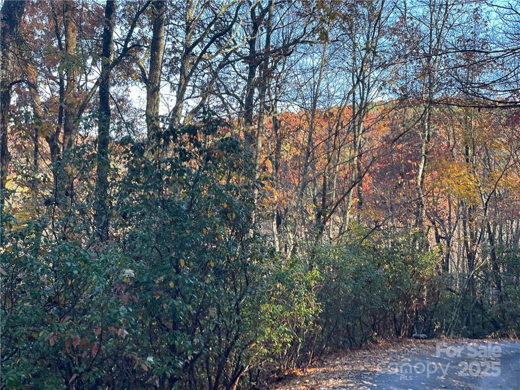 9999 Sassafras Road, Unit 4 Cedar Mountain, NC 28718 - Photo 23 of 36