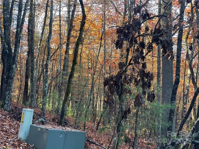 $100,000 | 9999 Sassafras Road, Unit 4, Cedar Mountain, NC 28718