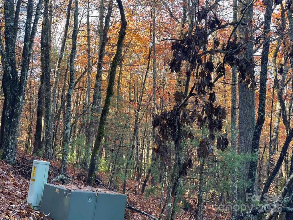 9999 Sassafras Road, Unit 4 Cedar Mountain, NC 28718 - Photo 24 of 36