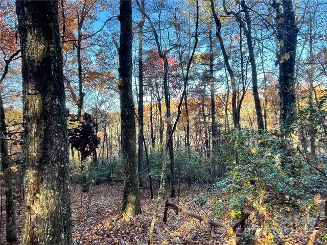 $100,000 | 9999 Sassafras Road, Unit 4, Cedar Mountain, NC 28718