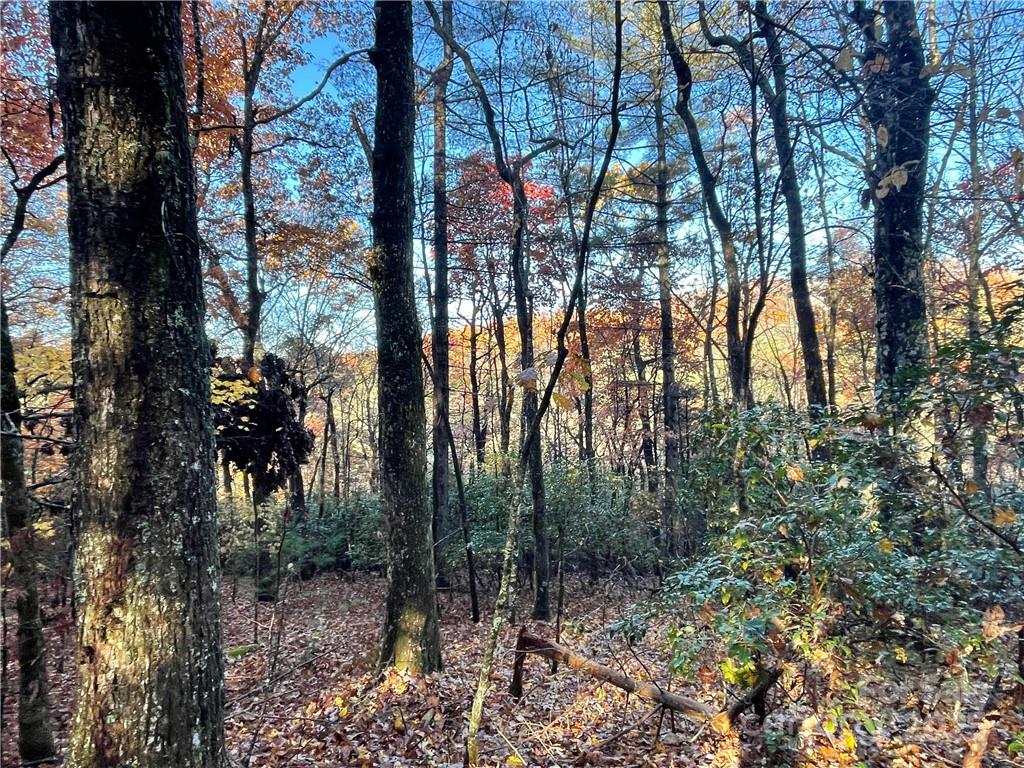 9999 Sassafras Road, Unit 4 Cedar Mountain, NC 28718 - Photo 25 of 36