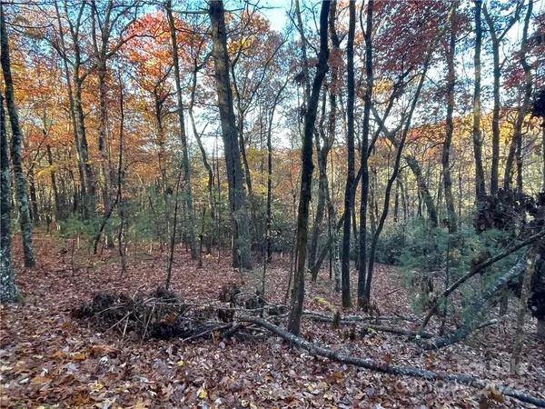 $100,000 | 9999 Sassafras Road, Unit 4, Cedar Mountain, NC 28718