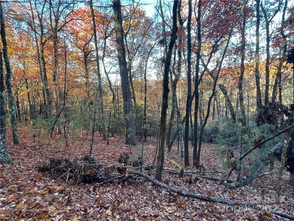 9999 Sassafras Road, Unit 4 Cedar Mountain, NC 28718 - Photo 26 of 36