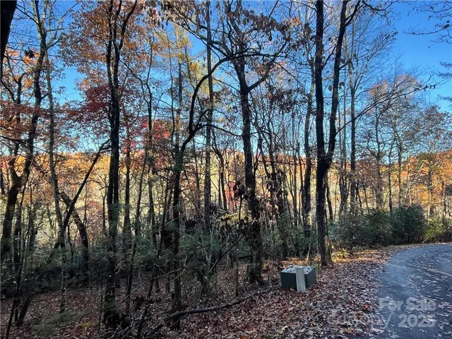 $100,000 | 9999 Sassafras Road, Unit 4, Cedar Mountain, NC 28718