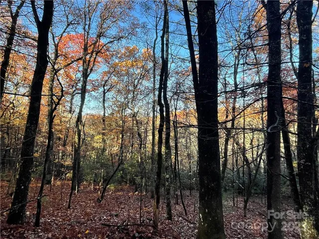 $100,000 | 9999 Sassafras Road, Unit 4, Cedar Mountain, NC 28718