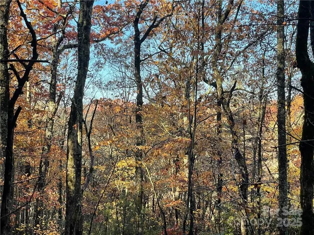 $100,000 | 9999 Sassafras Road, Unit 4, Cedar Mountain, NC 28718