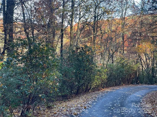 $100,000 | 9999 Sassafras Road, Unit 4, Cedar Mountain, NC 28718