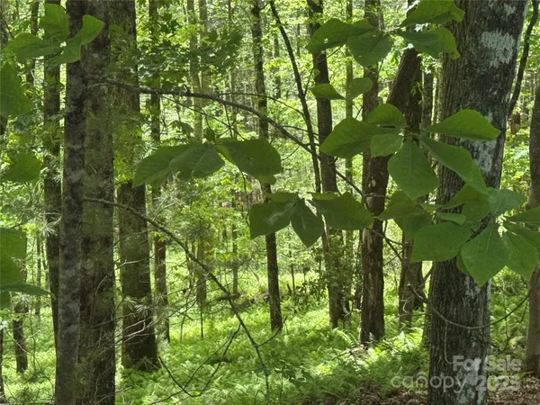 $100,000 | 9999 Sassafras Road, Unit 4, Cedar Mountain, NC 28718