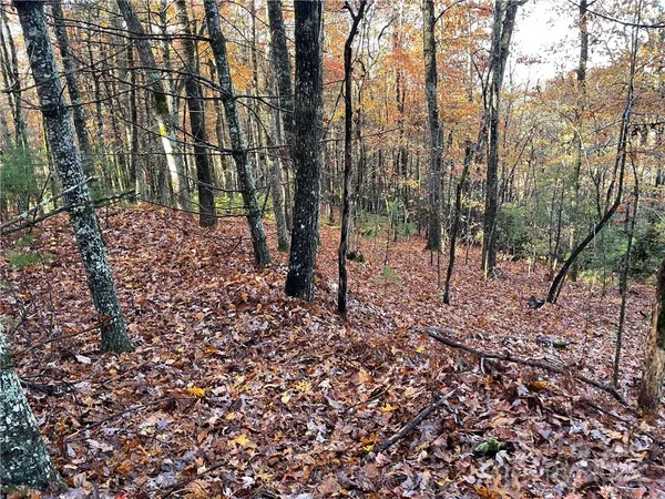 $100,000 | 9999 Sassafras Road, Unit 4, Cedar Mountain, NC 28718
