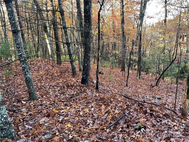 $100,000 | 9999 Sassafras Road, Unit 4, Cedar Mountain, NC 28718