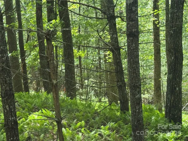 $100,000 | 9999 Sassafras Road, Unit 4, Cedar Mountain, NC 28718