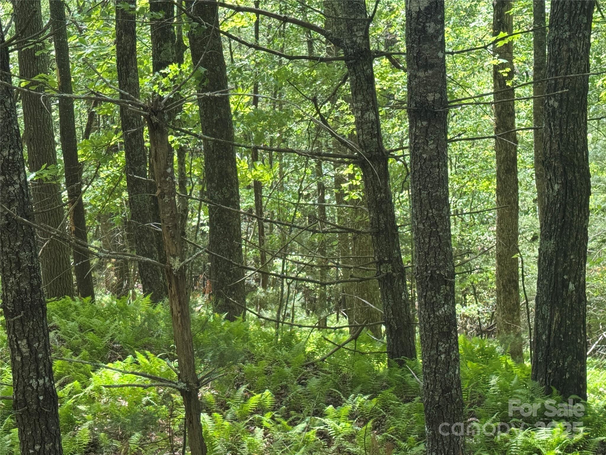 9999 Sassafras Road, Unit 4 Cedar Mountain, NC 28718 - Photo 32 of 36