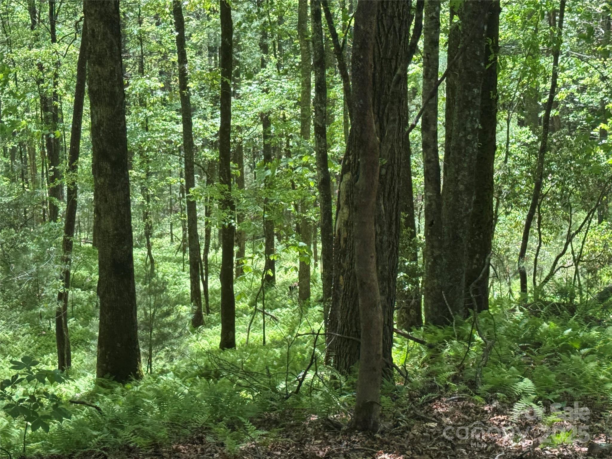 9999 Sassafras Road, Unit 4 Cedar Mountain, NC 28718 - Photo 33 of 36