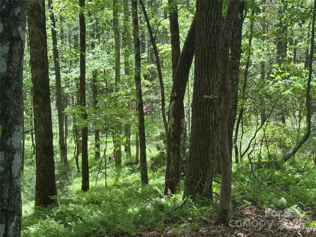 $100,000 | 9999 Sassafras Road, Unit 4, Cedar Mountain, NC 28718