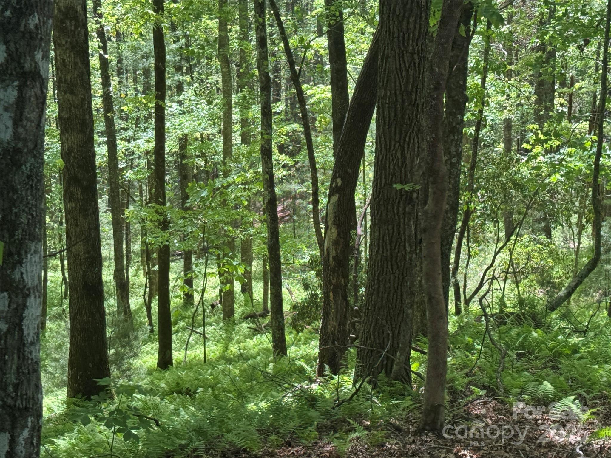 9999 Sassafras Road, Unit 4 Cedar Mountain, NC 28718 - Photo 34 of 36