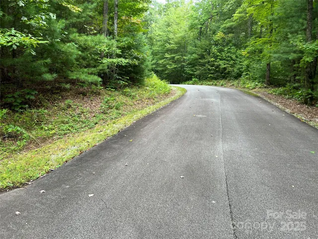 $100,000 | 9999 Sassafras Road, Unit 4, Cedar Mountain, NC 28718