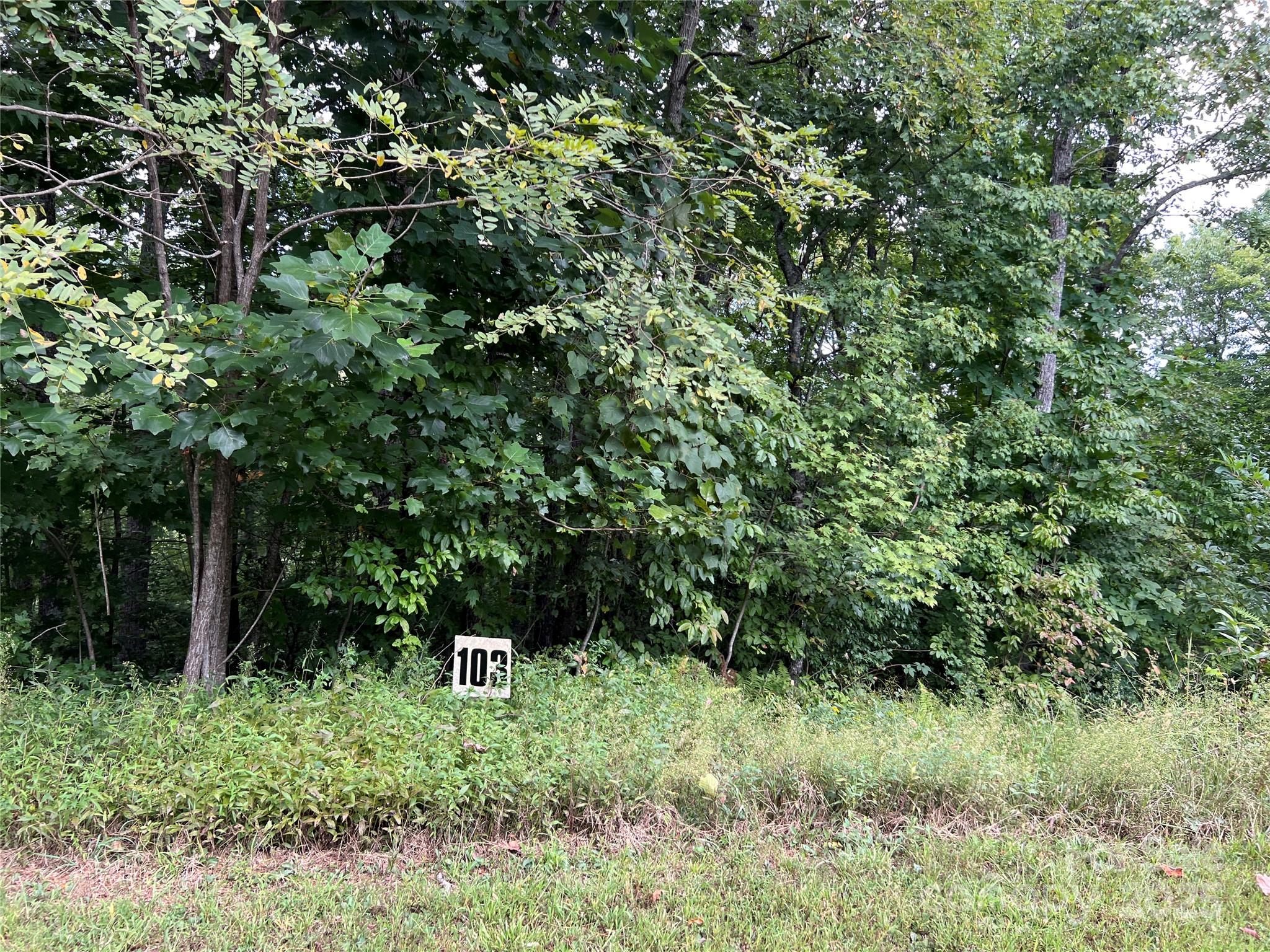 9999 Sassafras Road, Unit 4 Cedar Mountain, NC 28718 - Photo 36 of 36