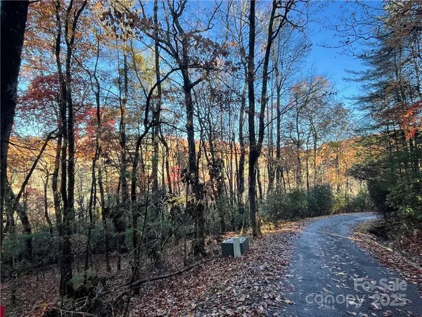 $100,000 | 9999 Sassafras Road, Unit 4, Cedar Mountain, NC 28718