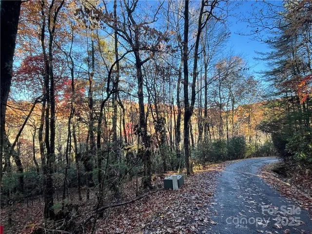 $100,000 | 9999 Sassafras Road, Unit 4, Cedar Mountain, NC 28718