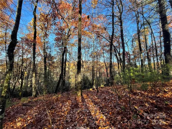 $100,000 | 9999 Sassafras Road, Unit 4, Cedar Mountain, NC 28718