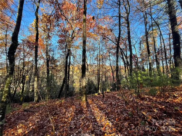 $100,000 | 9999 Sassafras Road, Unit 4, Cedar Mountain, NC 28718