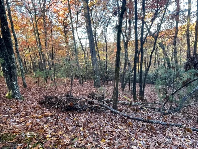 $100,000 | 9999 Sassafras Road, Unit 4, Cedar Mountain, NC 28718