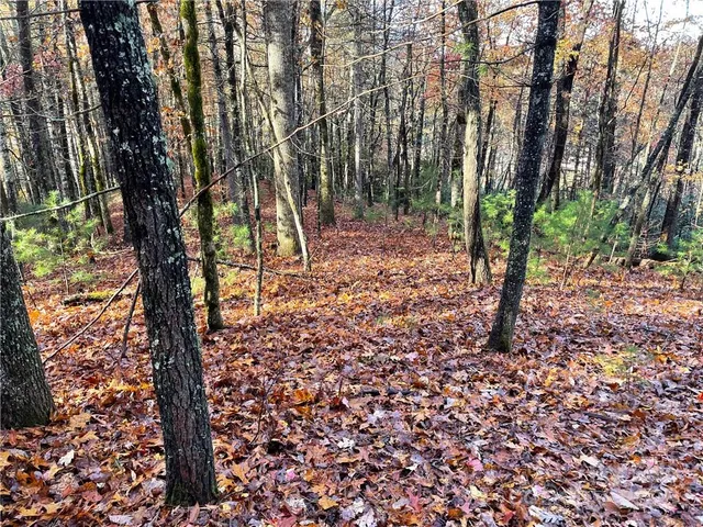 $100,000 | 9999 Sassafras Road, Unit 4, Cedar Mountain, NC 28718