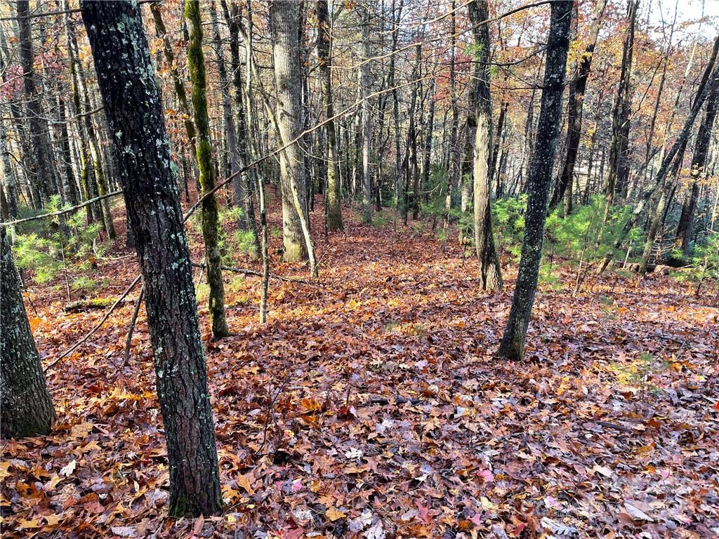 9999 Sassafras Road, Unit 4 Cedar Mountain, NC 28718 - Photo 7 of 36