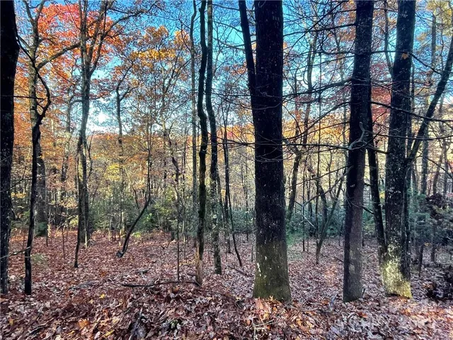 $100,000 | 9999 Sassafras Road, Unit 4, Cedar Mountain, NC 28718