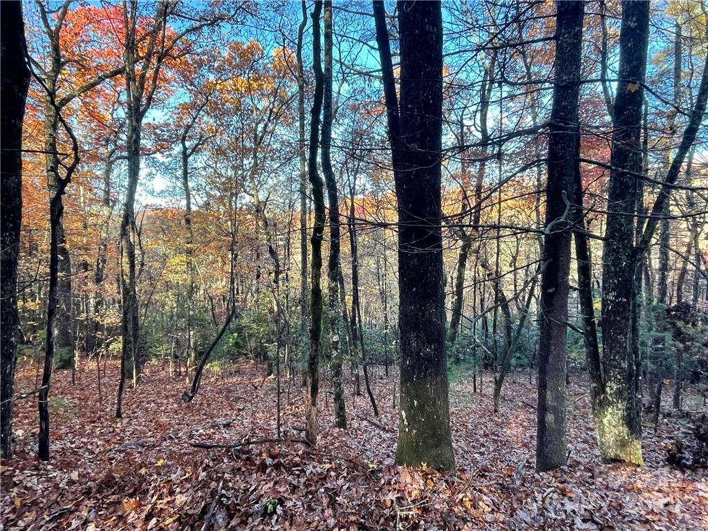 9999 Sassafras Road, Unit 4 Cedar Mountain, NC 28718 - Photo 8 of 36