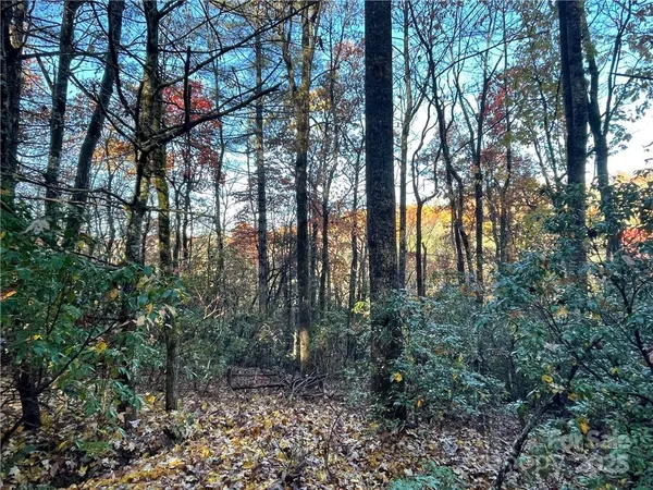 $100,000 | 9999 Sassafras Road, Unit 4, Cedar Mountain, NC 28718