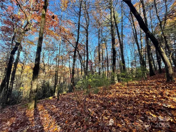 $100,000 | 9999 Sassafras Road, Unit 4, Cedar Mountain, NC 28718