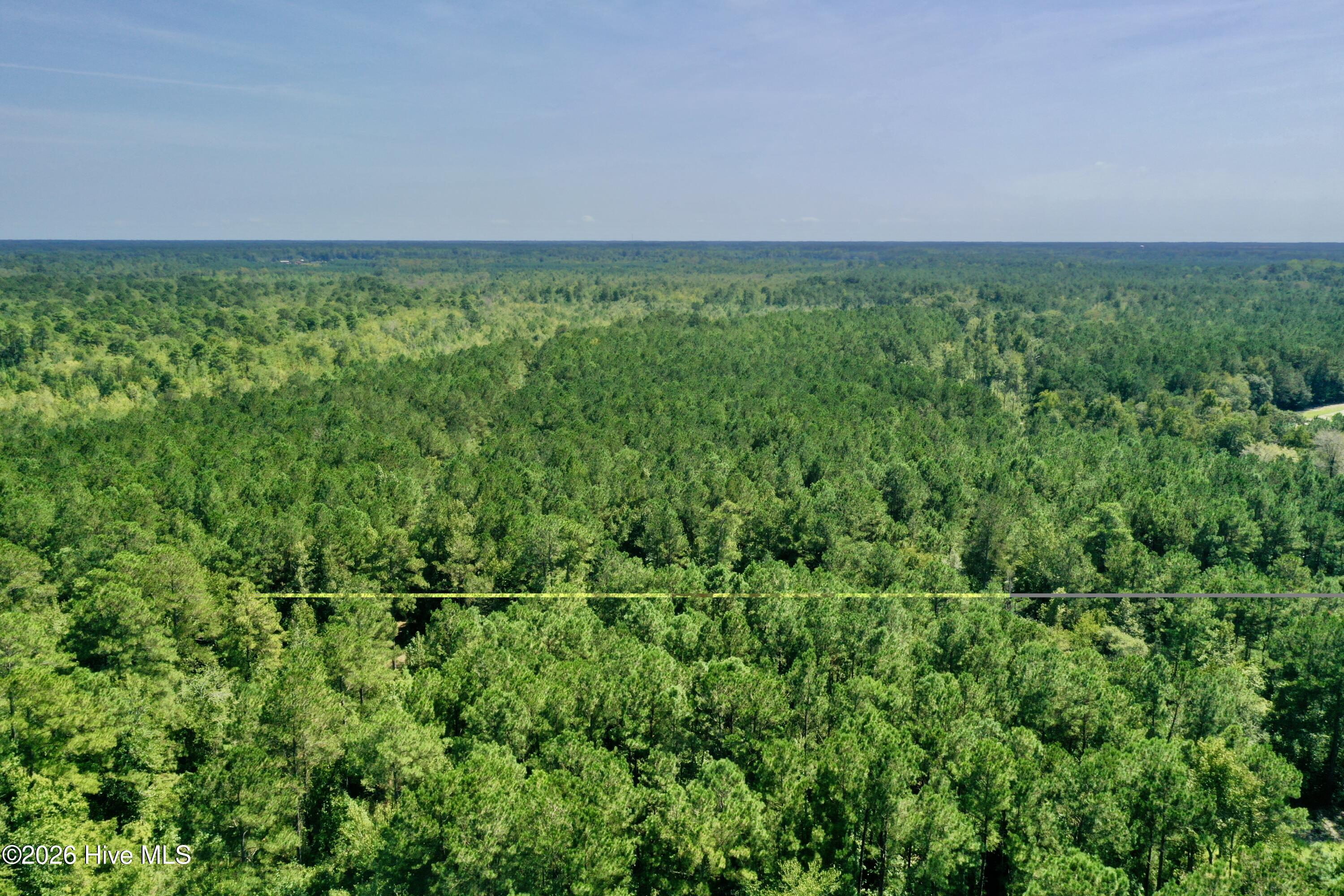 0 Bud Stephens Road Evergreen, NC 28438 - Photo 8 of 12 Gallery Image 8