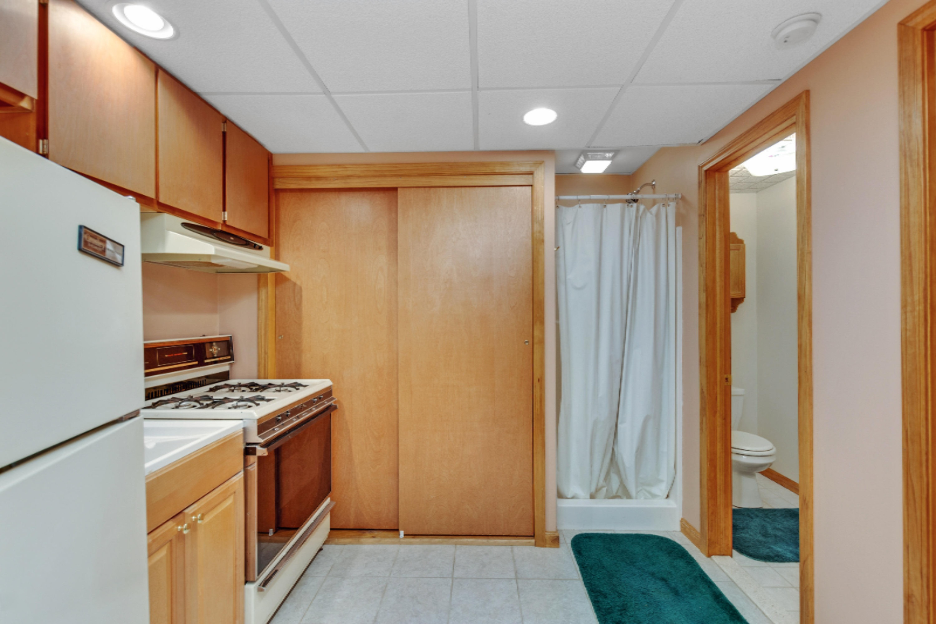 22775 Cutler Road Howard City, MI 49329 - Photo 44 of 63 2nd Kitchen & Bath-Basement