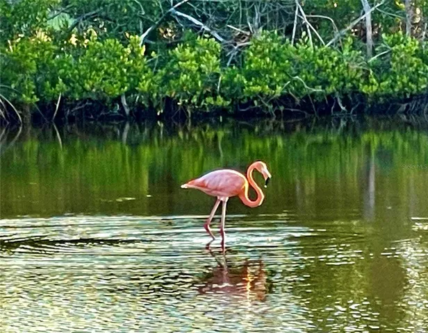 a lake view with a lake view